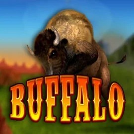 Buffalo Bingo slot visual from MGA Games available on robo-cat.eu